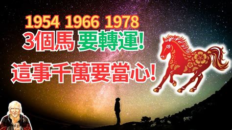 1978年生肖五行|【1978年 生肖】1978年生肖運勢搶先看！45歲屬馬者必讀！